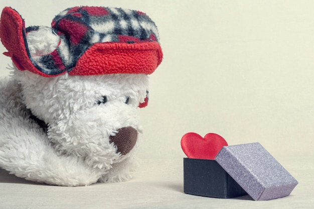 teddy bear with red hat