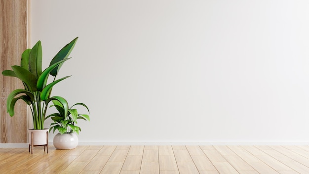 Premium Photo | White wall empty room with plants on a floor,3d rendering