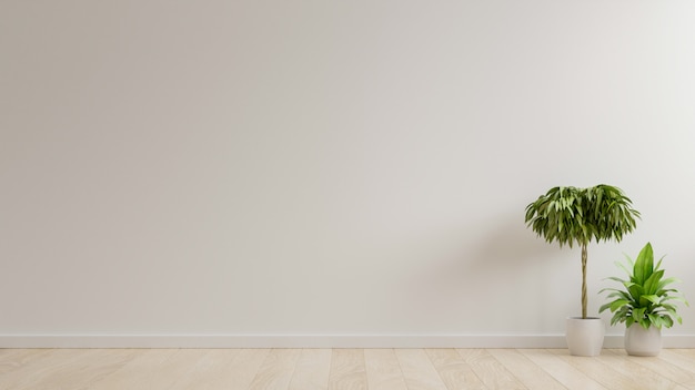 White wall empty room with plants on a floor. | Premium Photo