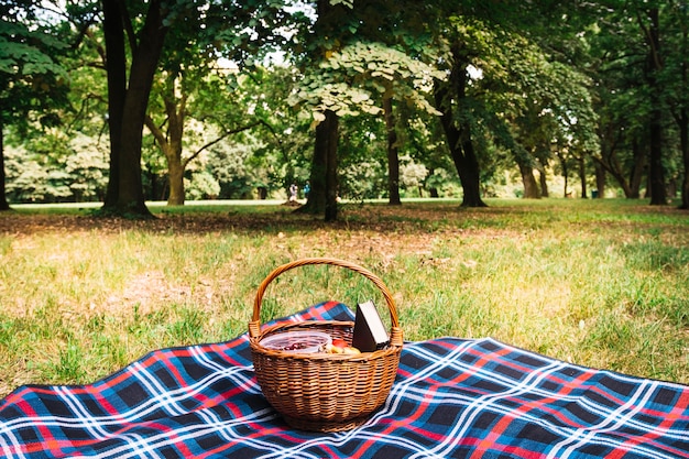 picnic basket with blanket