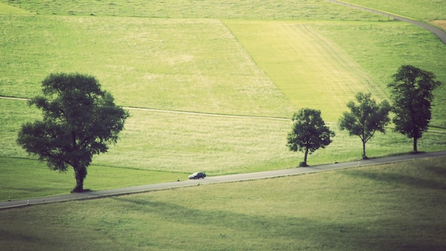 car driving track