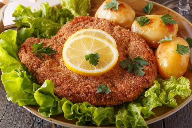 Premium Photo | Wiener schnitzel with potatoes and salad