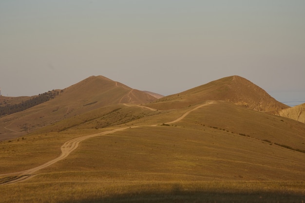 Фон пустыня дорога