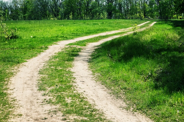 Фото дороги уходящей в даль в лесу