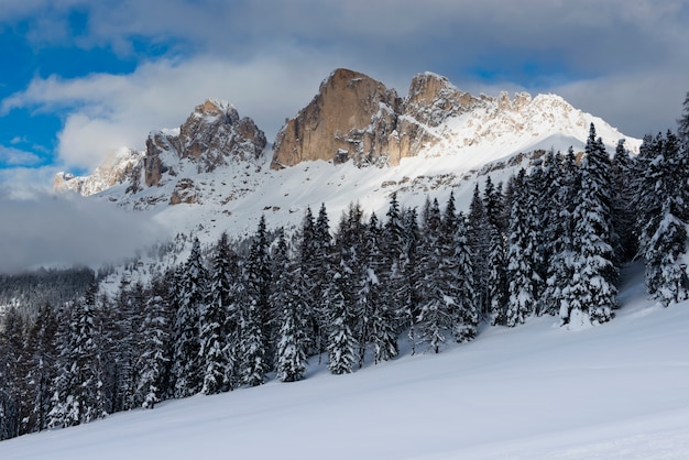 Winter landscape in the dolomiti Premium Photo