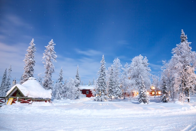 Premium Photo | Winter landscape at night