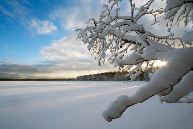 Заснеженные пейзажи фото