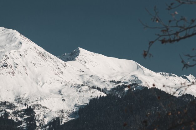 Premium Photo Winter Mountains Of Krasnaya Polyana