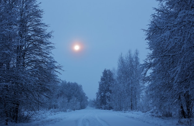 Premium Photo Winter Night Snowy Landscape With Trees