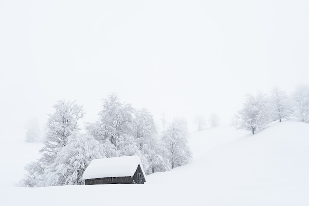 Premium Photo  Winter wonderland with a wooden house in the mountains. snowy christmas in a 