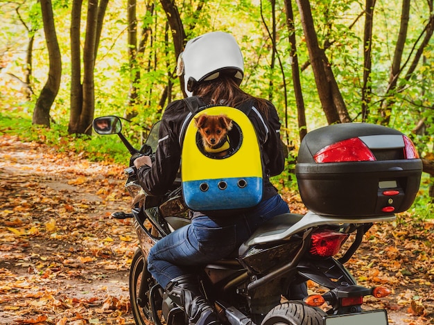 バイクに乗った女性バイカーは バックパックに犬を背負って林道を走ります プレミアム写真