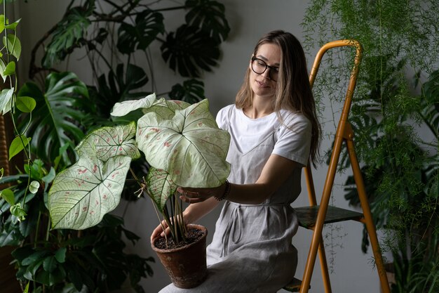 大きな白い葉を持つニシキイモ観葉植物を保持している灰色のリネンドレスの女性庭師 プレミアム写真