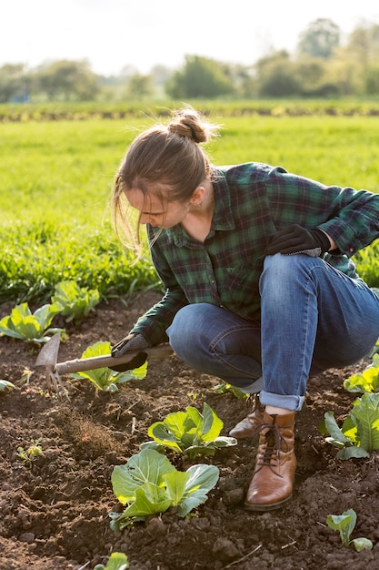 Free Photo | Woman harvesting vegetables