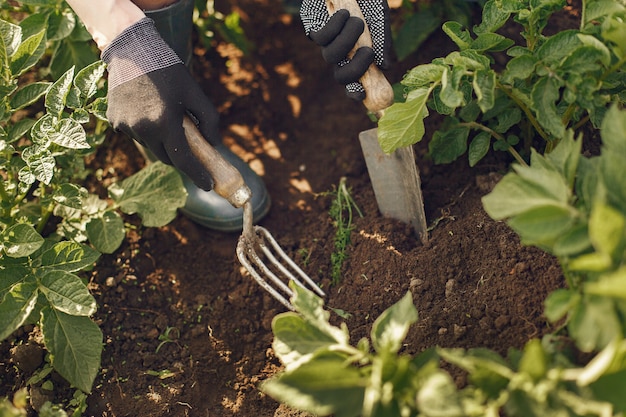 Woman in a hat working in a garden Free Photo