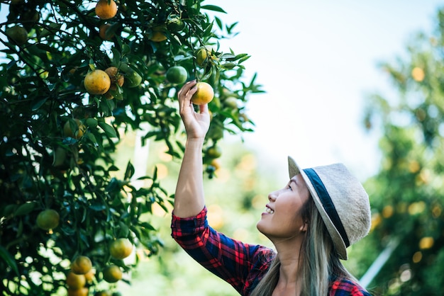 Free Photo | Woman havesting orange plantation