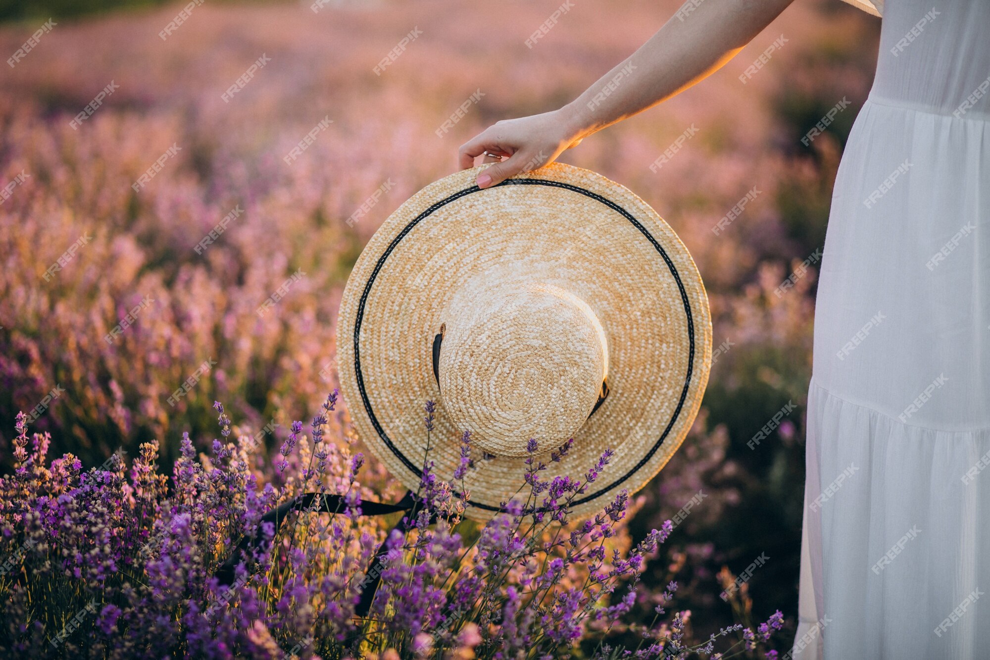 Free Photo | Woman holding hat in a lavander field close up