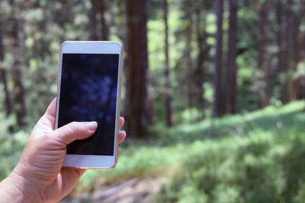 Premium Photo | Woman holding phone in hand in the forst