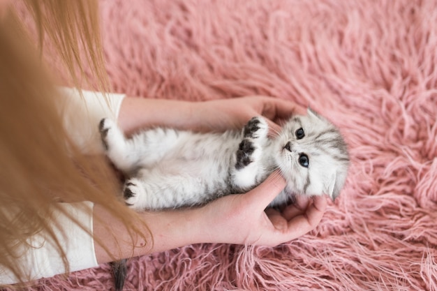 女性は彼女の腕の上に面白い灰色の子猫を保持 無料の写真