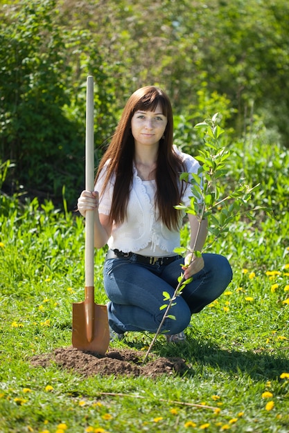 Woman planting tree Photo | Free Download