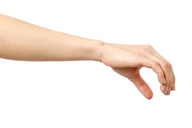 女性の手が何かをつかむか測定する プレミアム写真