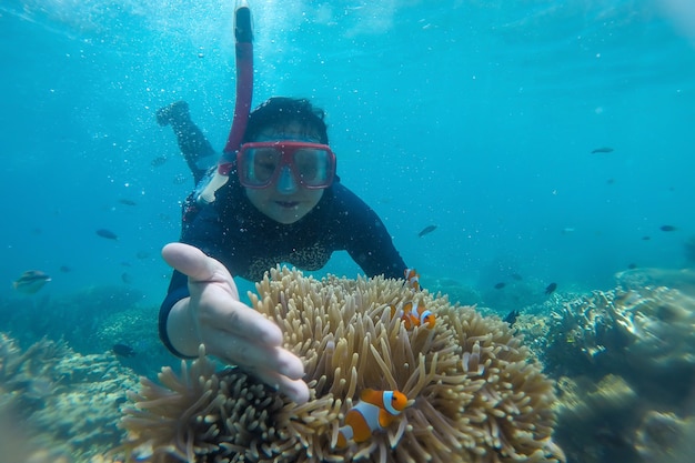 Premium Photo | Woman snorkeling underwater with clownfish in coral ...