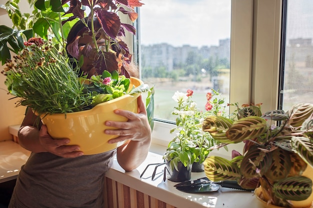 バルコニーの窓の植物の親の概念で観葉植物の世話をする女性 プレミアム写真