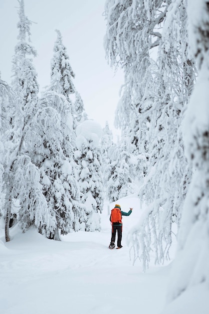 Premium Photo | Woman trekking through the snow in lapland, finland