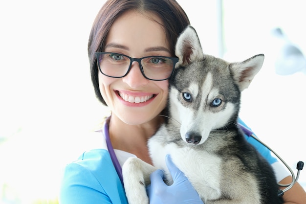 ペットクリニックの背景に対して青い目で犬を保持している女性獣医 プレミアム写真