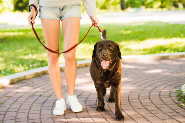 Woman walking with her dog in garden Free Photo