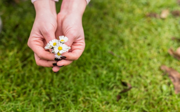 Free Photo Woman With Little White Flowers Near Grass On Land