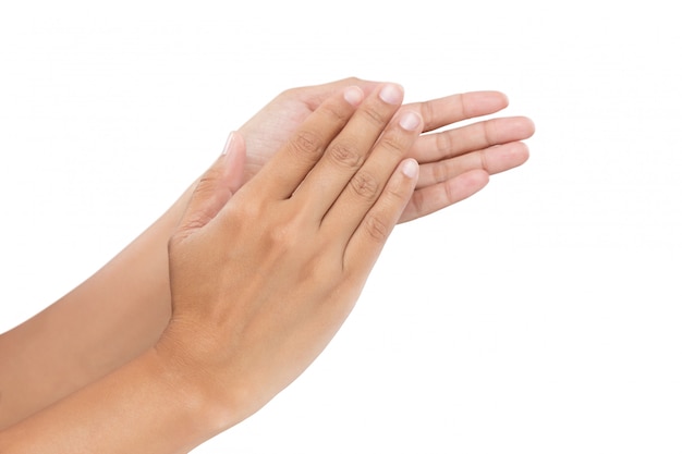 Premium Photo | Women clapping hands, applause isolated on white background