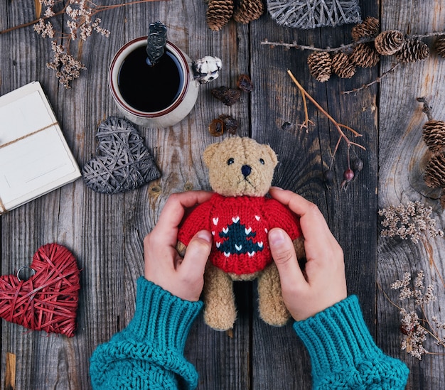 teddy bear with velcro back