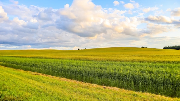 Premium Photo | Wonderful field hills trees and blue sky with clouds in ...