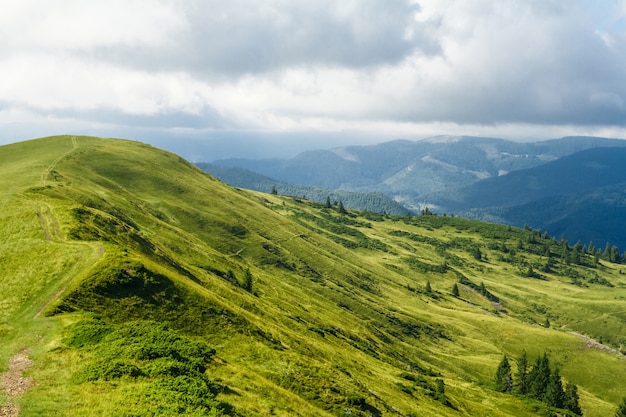 Free Photo | Wonderful landscape of ukrainian carpathian mountains.