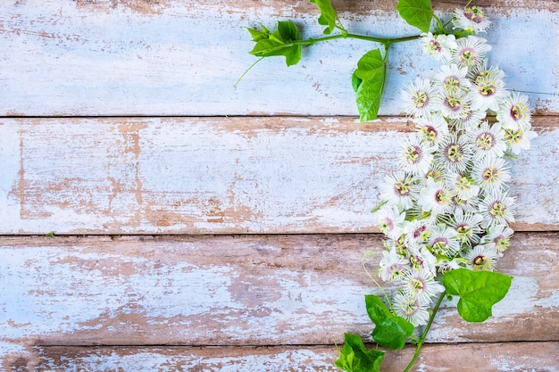 Premium Photo | Wood background with flowers