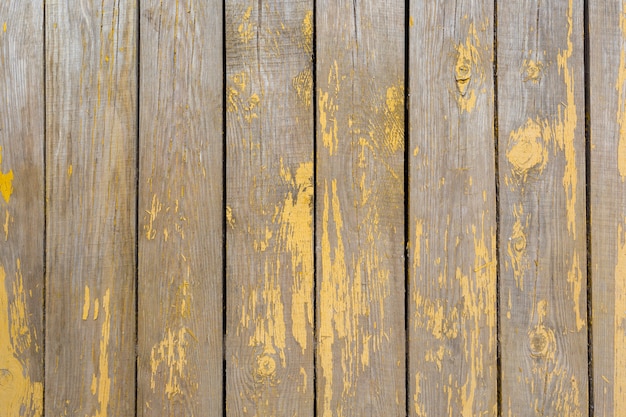 Premium Photo | Wood background
