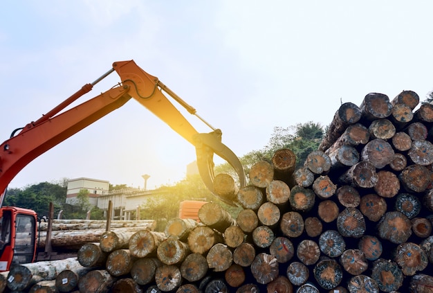 Free Photo | Wood processing factory