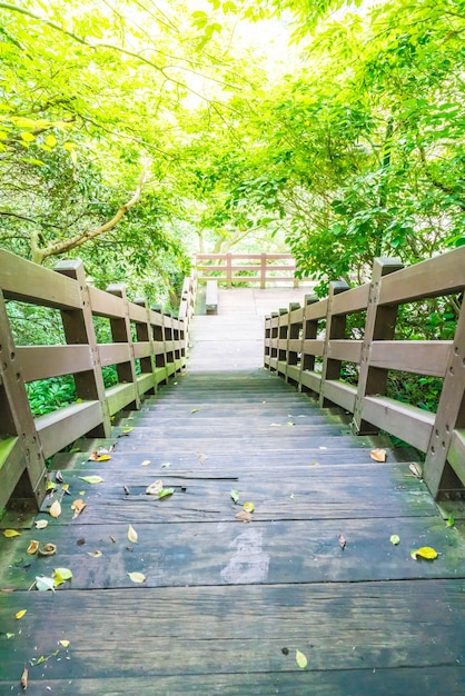 Wood walkway in garden at cheonjeyeon falls , jeju island ...