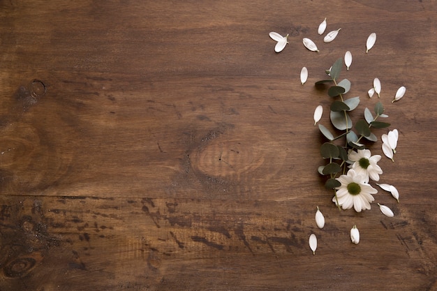 Premium Photo | Wooden background with flower