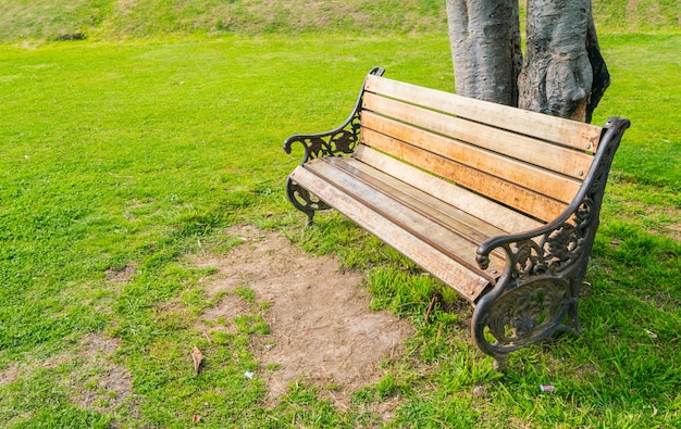 Wooden Bench In The Park Free Photo