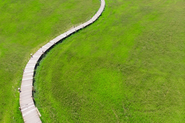 Premium Photo Wooden Bridge As A Path Through Green Tall Grass Field