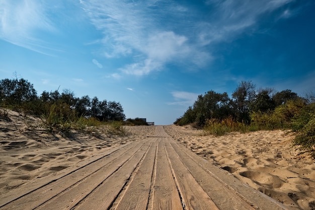 Premium Photo | Wooden footpath through bushy dunes