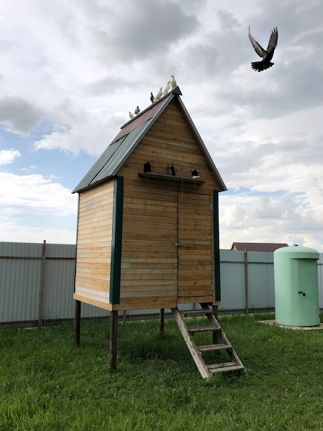 Premium Photo Wooden Pigeon House With Pigeons Sitting On The Roof