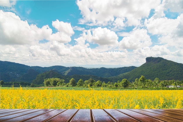 美しい黄色の花畑と山の青い空の風景の上の木のテラス 無料の写真