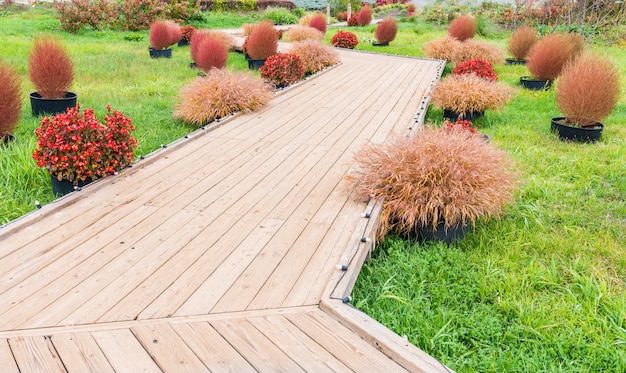 Premium Photo | Wooden walkway in the garden