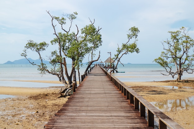 Wooden walkway with trees that lead to the sea from the ...