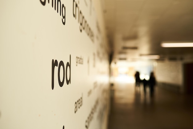 premium-photo-words-on-a-wall-at-a-school-hallway