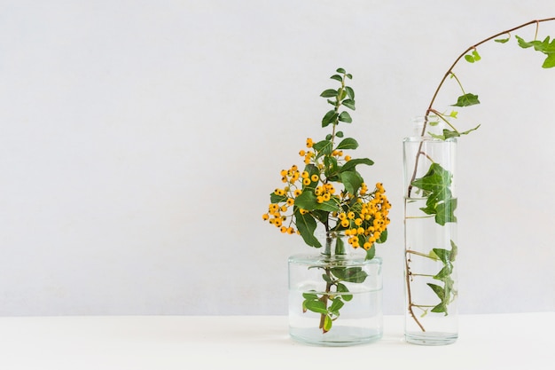 黄色のベリーの小枝とアイビーガラスの花瓶の背景にデスク 無料の写真
