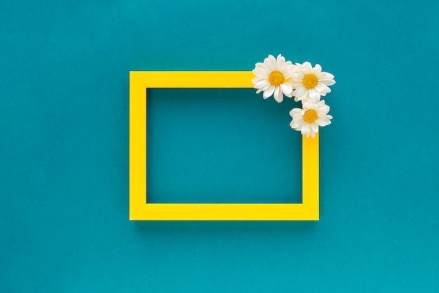 Yellow Border Blank Photo Frame Decorated With White Daisy Flowers