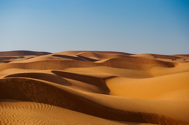 Premium Photo | Yellow desert dunes and sky